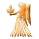 HTML